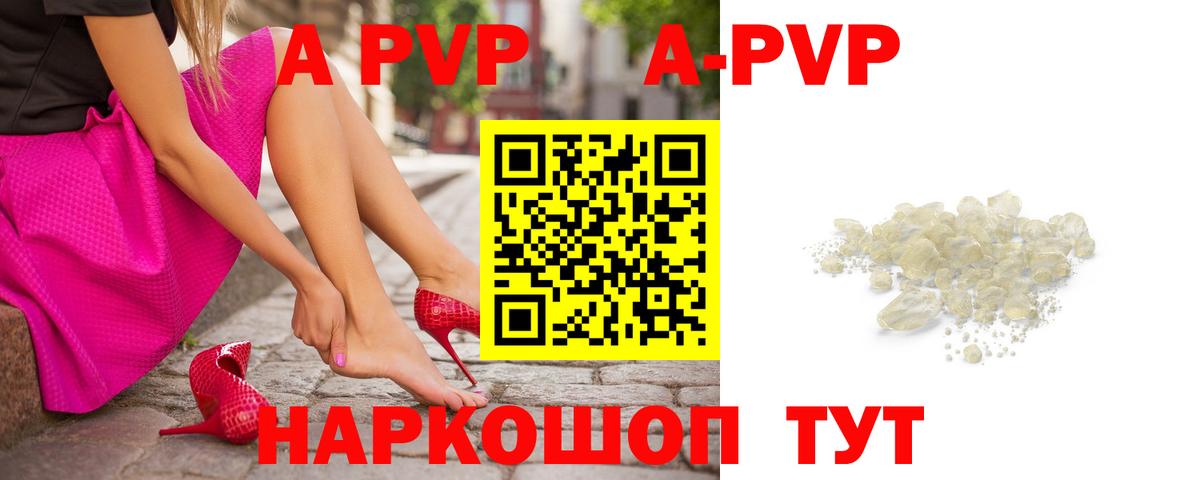 A PVP СК Кингисепп