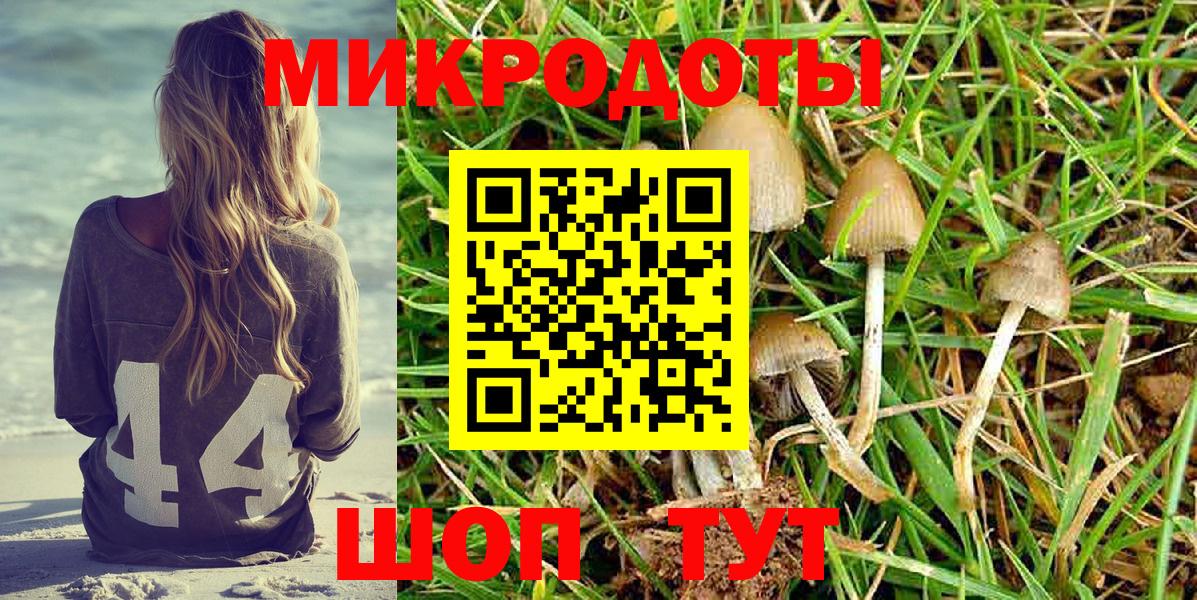 Псилоцибиновые грибы MAGIC MUSHROOMS  Псилоцибиновые грибы Magic Shrooms  Кингисепп  Вход с VPN 