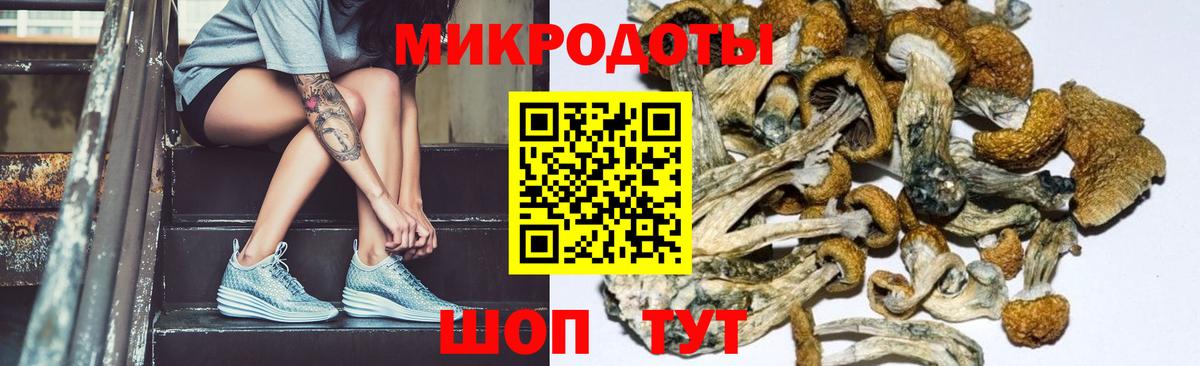 Галлюциногенные грибы ЛСД Кингисепп